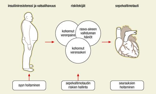 Lähde: Terveysportti,