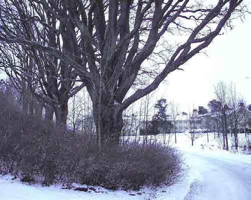 JÄRVENPÄÄLÄNEN KULTTUURMASEMA JA -YMPÄRSTÖ NYKYSN Järvenpään kulttuuriympäristöstä on olemassa perusteellisia selvityksiä.