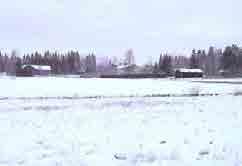 Eriksnäsin laakso Vanhankyläntieltä pohjoiseen. Eriksnäsinlaakso Eriksnäsinlaakso on kapea ja jyrkkäpiirteinen, mieleenpainuva laaksomuoto. Se on säilynyt viljelyksessä.
