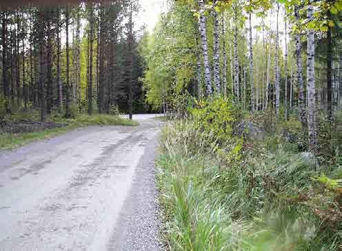 Järvenpään pohjoisrajalla oleva metsävyöhyke on arvokasta virkistysaluetta, tuulensuojavyöhykettä ja lisäksi kaupungin pohjoispuolella olevan kulttuurimaiseman reuna.