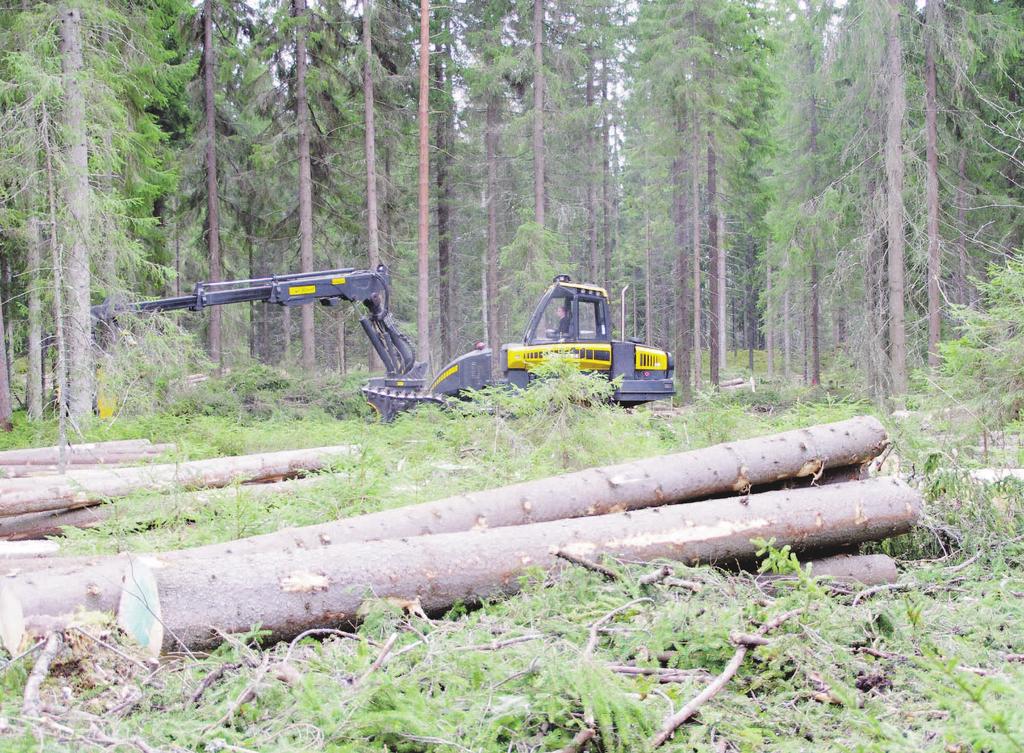 22 Järeää puuta halutaan jalostaa entistä enemmän Etelä-Savossa.