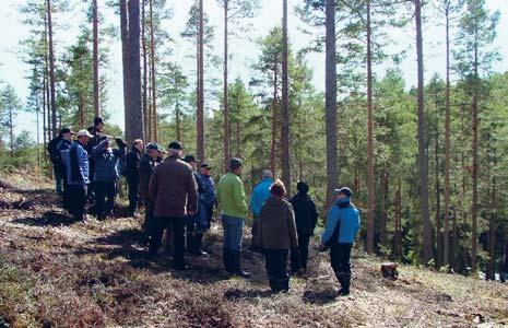 9 Hyvät käytänteet ja linkkejä Tähän lukuun on kerätty hyviä käytänteitä ja toimintatapoja METSOn käytännön toteuttajilta.