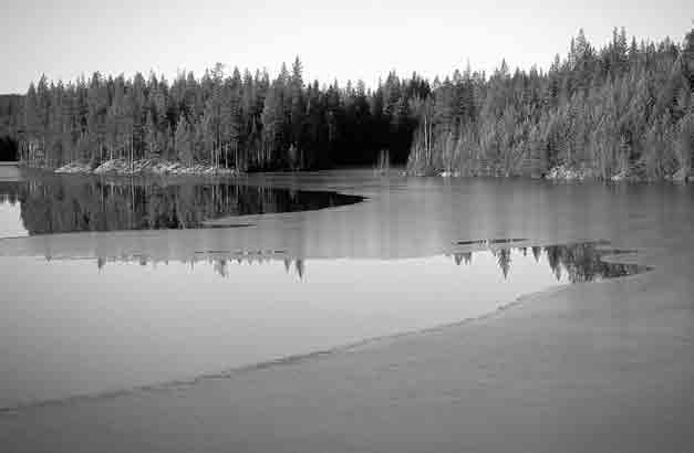 Vesihöyryn kyllästyspaine jääpinnan yläpuolella on pienempi kuin vesipinnan yllä, kun lämpötila on jäätymispisteen alapuolella.