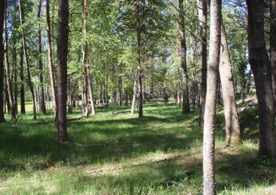 Yleistä ympäristösopimuksista Tuensaajana on aktiiviviljelijä, yhdistys tai vesioikeudellinen yhteisö (kosteikon hoitosopimus) Yläikärajaa ei enää ole Ympäristösopimuksen tekeminen ei edellytä