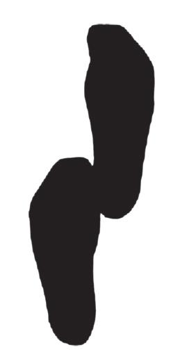 takimmaisen jalan isovarpaan tyvinivel on etummaisen jalan kantapään sisäosaa vasten. Jalka terät ovat samansuuntaisesti eteenpäin.