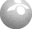 armeijan ajasta. Nimi + logo 13,50 FINNET»»i» S Int.