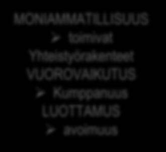 Syntymäperhe Sijaisperhe Valvonta MONIAMMATILLISUUS