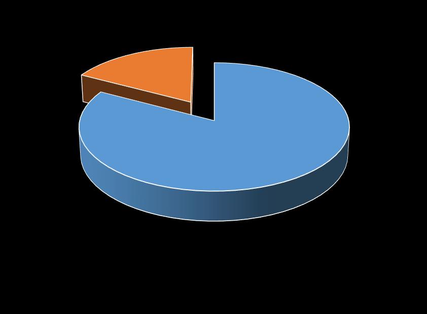 Hanketuet 7051 705,32 41 % Myöntövaltuuden käyttö 17339