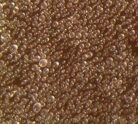 400 µm 200 µm 200 µm Rauhallisia kasvupaikkoja muodostuu