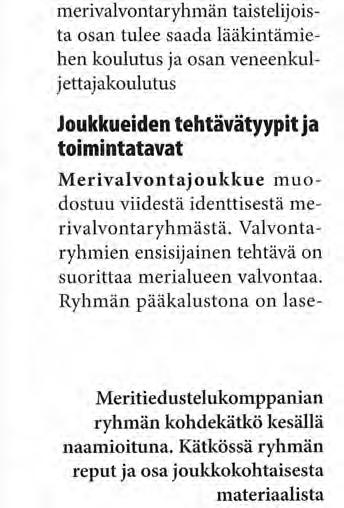 Merivalvontajoukkueen tähystysasema kesänaamioituna tähystyssuunnasta nähtynä.