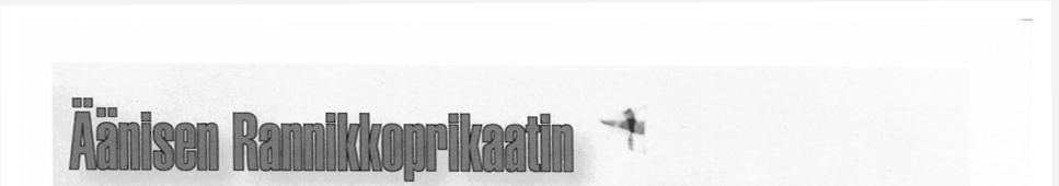 leveydeltä Äänisen länsirannikkoa Äänislinnan pohjoispuolelta Syvärinniskan pohjoispuolelle.