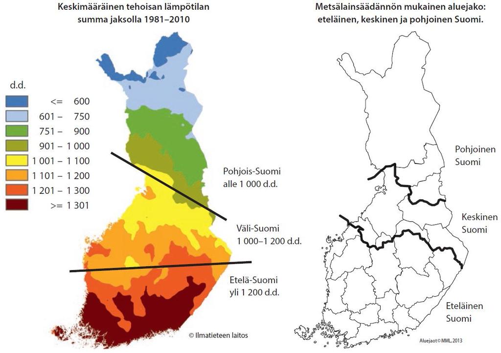 Metsänhoidon suositusten ja