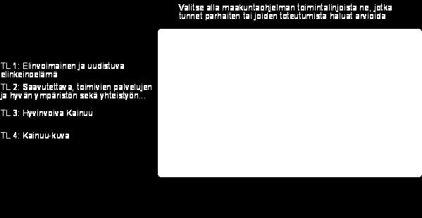 Taustatiedot 4.