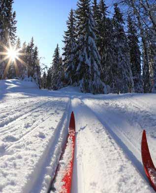 Jos käytät mökkiäsi talvella, voit tehdä sen huolettomasti ja keskittyä esimerkiksi pihan lumitöistä huolehtimiseen.