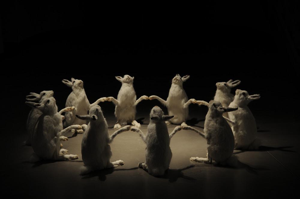 Ei ole vielä liian myöhäistä Pekka Jylhä: It is not too late, 2009, Stuffed hare, light Professori Marja-Liisa Manka