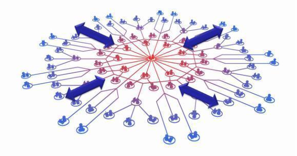 Yhteenveto: verkostomaisen toimintatavan onnistumisen avaintekijät Tässä oppaassa on kuvattu verkostojohtamisen keskeiset periaatteet ja verkostojen kehittämisprosessin ydinvaiheet.