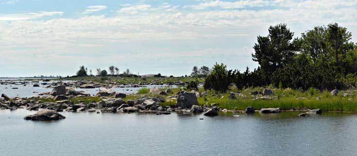 9.10 Vaikutukset luonnon monimuotoisuuteen ja suojelukohteisiin Tässä luvussa on selvitetty, heikentääkö hanke todennäköisesti, joko yksistään tai tarkasteltuna yhdessä muiden hankkeiden ja