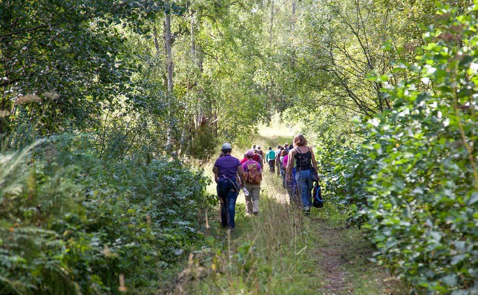 Toimenpide Vastuutahot Monimuotoinen luonto ja luonnonvarat Kiviaineshuollon ja rakentamisen mittava kokeiluhanke. Kokeilualueena Espoon Finnoo.