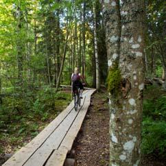 Indikaattorit Toteutetut luonnonmukaiset ja muut