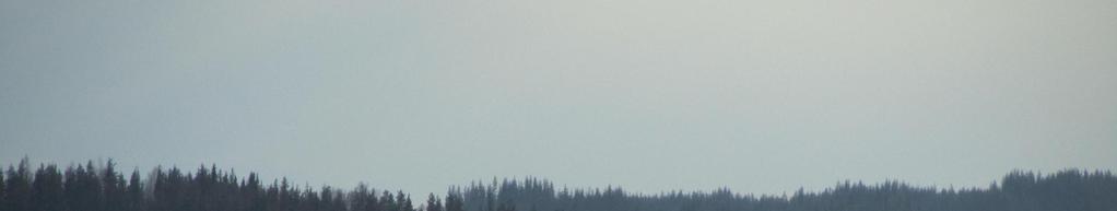 KIITOS!