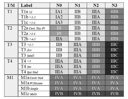 Stage kategoriat TNM8 TNM7 Multippeleiden keuhkopesäkkeiden luokittelu Yleistä