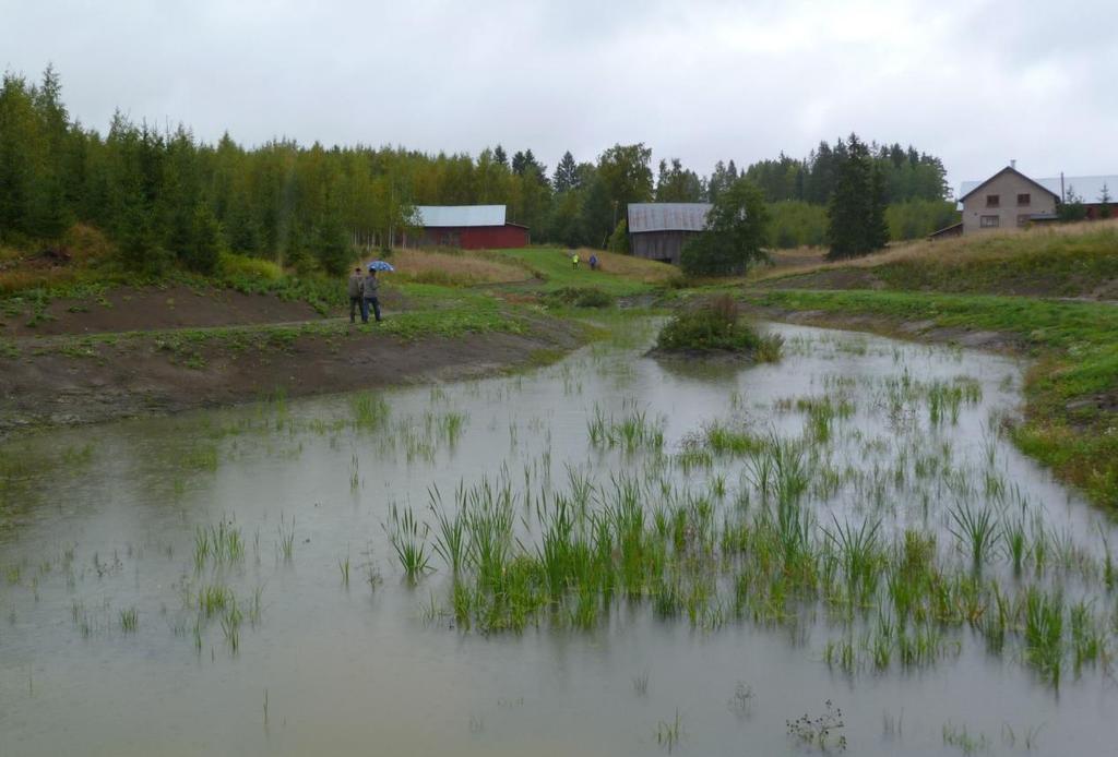 Mäyränojan latvaosan kosteikkoketju