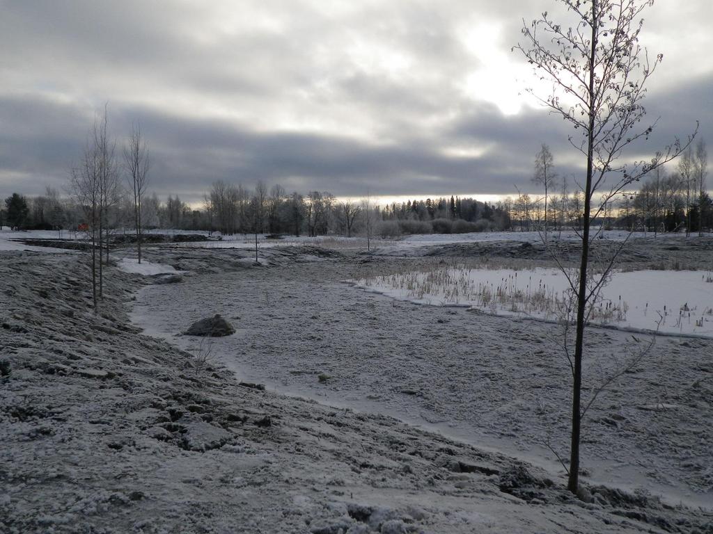 Mäyränojan kosteikon peruskunnostustyöt talvella 2012-2013 Pajukoiden poistoa (1 000 ) Ruoppaus