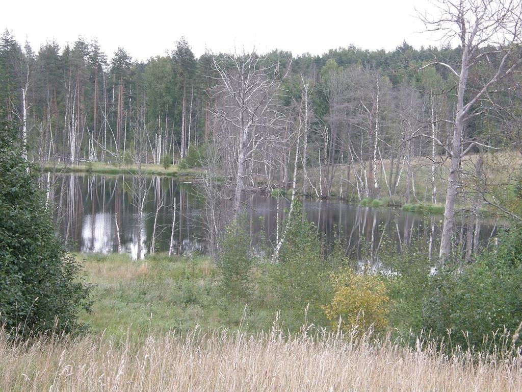 Suurporkun tienhaaraa ei oltu suljettu, mutta siinä oli epävirallisen näköineen jätemaan ym. rojun kaatopaikka.