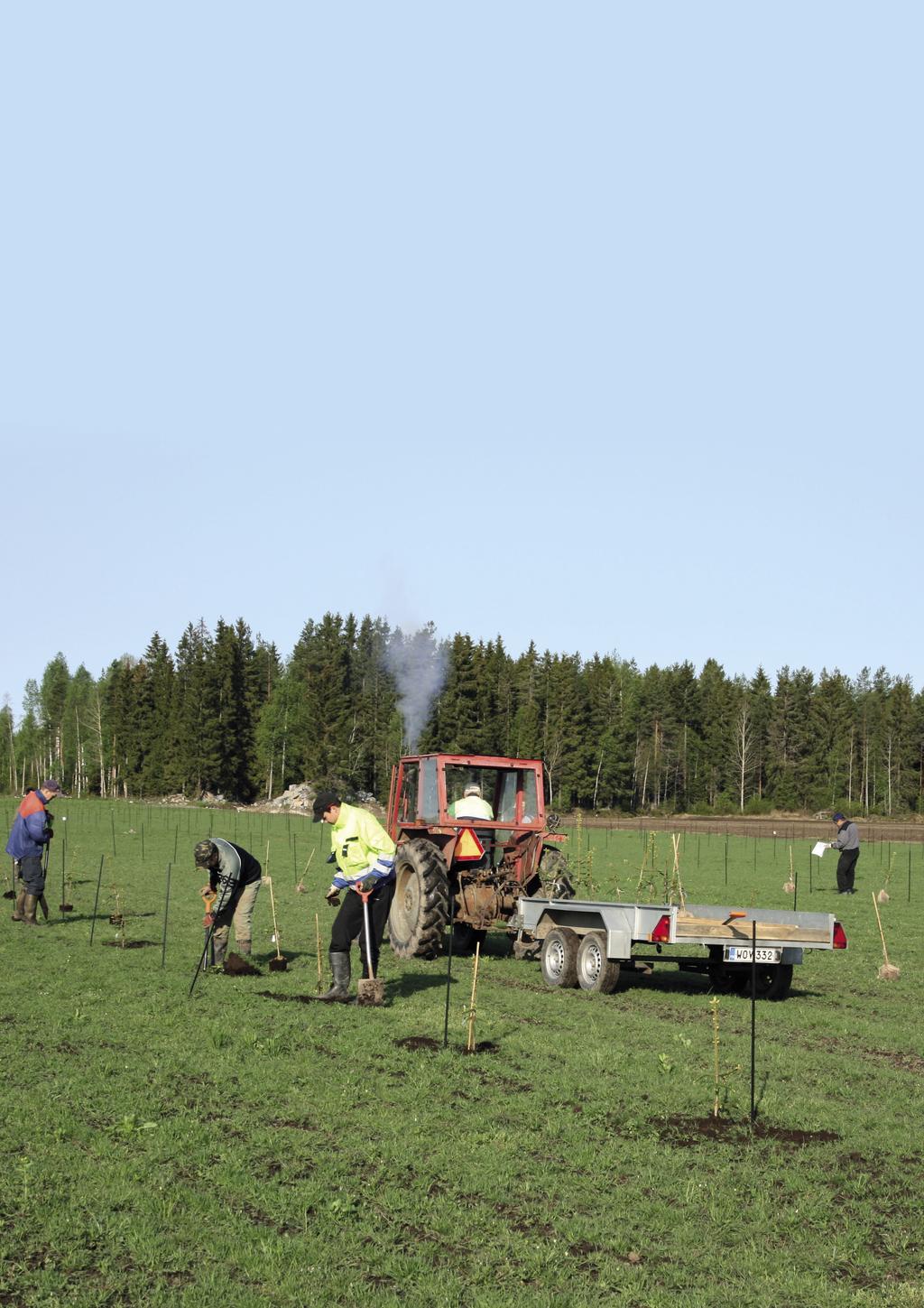 LUKE TAIMIUUTISET 1 2015 Uutta ja