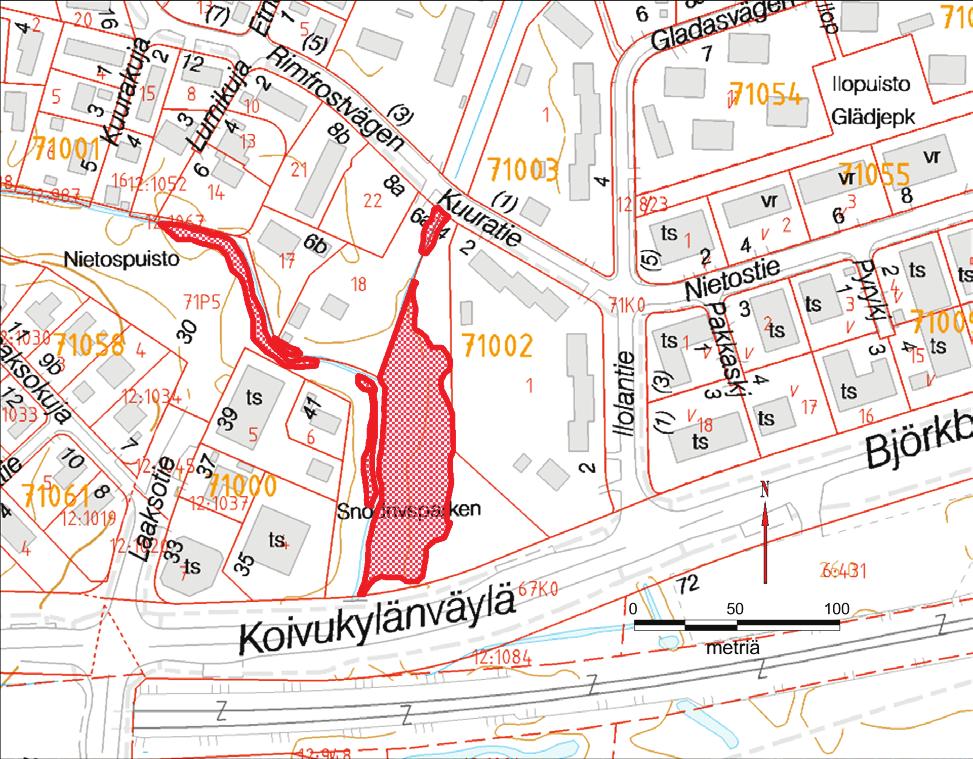 tunnin parkkipaikan edustalla sijaitsevassa puronvarsilehdossa. Esiintymä on mitä ilmeisemmin peräisin puutarhajätteen mukana kulkeutuneista kasvinosista.