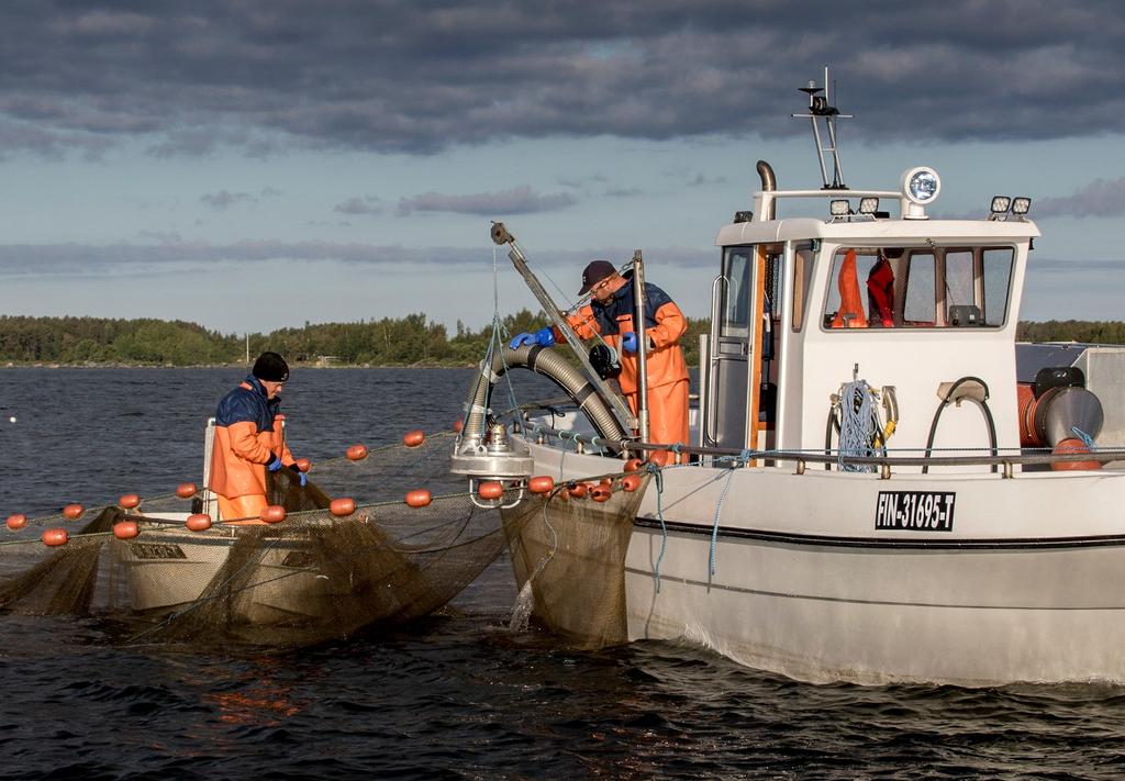 SILAKAN JA KILOHAILIN MSC-TÄYSARVIOINTI KIM JORDAS, SUOMEN