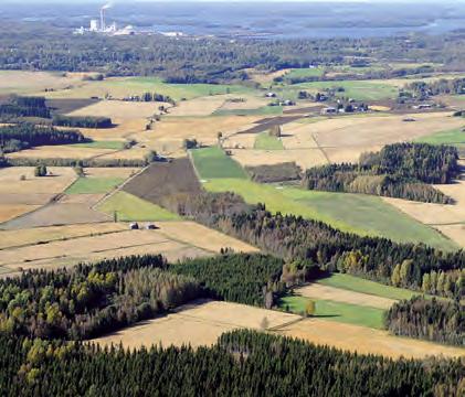 Vapaa-ajan asukkaat ovat maakunnan kehitykselle tärkeitä toimijoita, sillä he lisäävät alueen ostovoimaa.