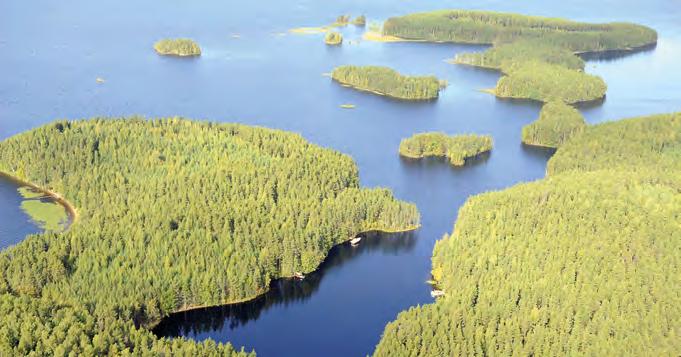 4 Kuva Mikko Nikkinen. Kuva Arto Hämäläinen. 1.