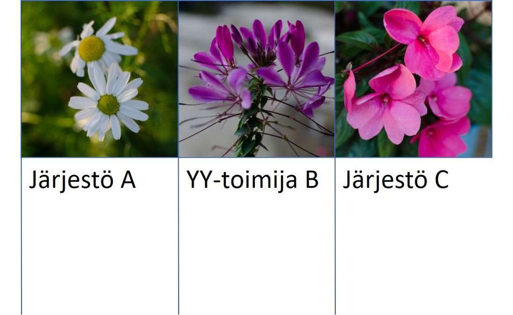 Tätäkö te nyt pelkäätte?