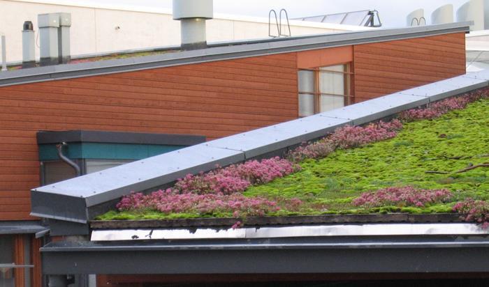 Korttelin 0 tontit - Asemakaavan mukaan asuinrakennuksen kattoharja on rakennettava kohtisuoraan katuun nähden.