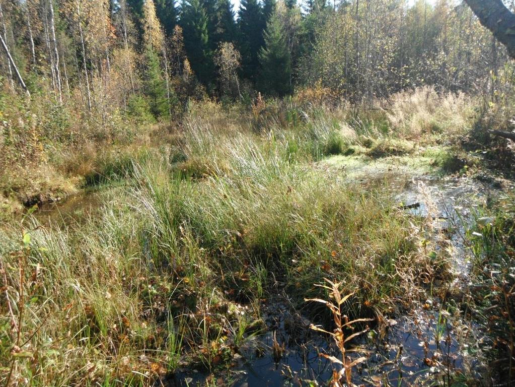 Esimerkkinä seuraavassa muutamia kuvia alueelta: Kuva 10.