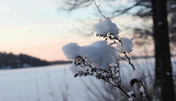 4.2. Hiljaisuuden retriitti, Levon siunaus 9. 11.2. Naistenpäivät 13. 14.2. Eloa ja iloa eläkevuosiin -ohjaajakoulutus ikäihmisten kerhojen ohjaajille 14.2. Ystävien ilta yhdessä, konsertti Laurentius-salissa 17.