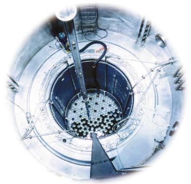 viisan reaktoreissa yhdessä nipussa sauvoja on 126 kappaletta ja uraania yhteensä noin 120 kg.