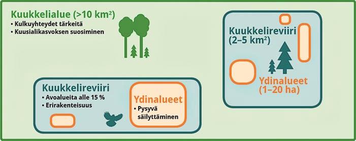 UHANALAISET LAJIT Ohje kuukkelialueen metsätaloustoimintaan Miten suojella lajia, jonka toimiva reviiri on usean neliökilometrin laajuinen ja yhtenäisen metsäpeitteinen?