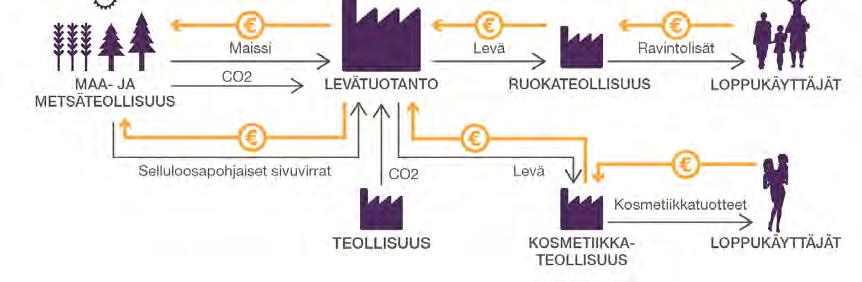 48 Teknologian kehittäminen; sokeri- ja tärkkelysraaka-aineen korvaaminen selluloosalla Kuva 23.