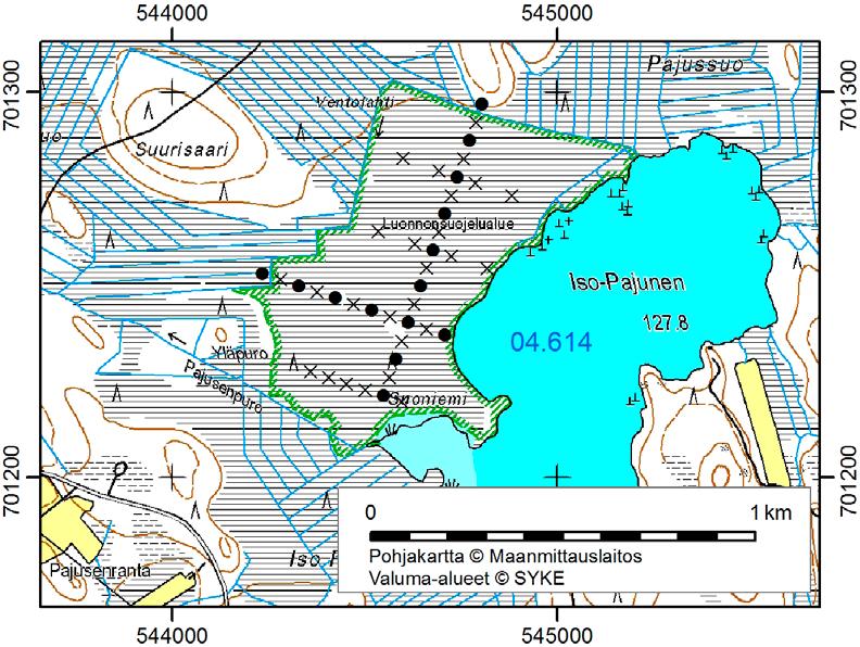 35. Iso-Pajunen Iso-Pajunen (x = 7012,5, y = 5445,2) sijaitsee 11 km linnuntietä Nilsiän keskustasta länsiluoteeseen.