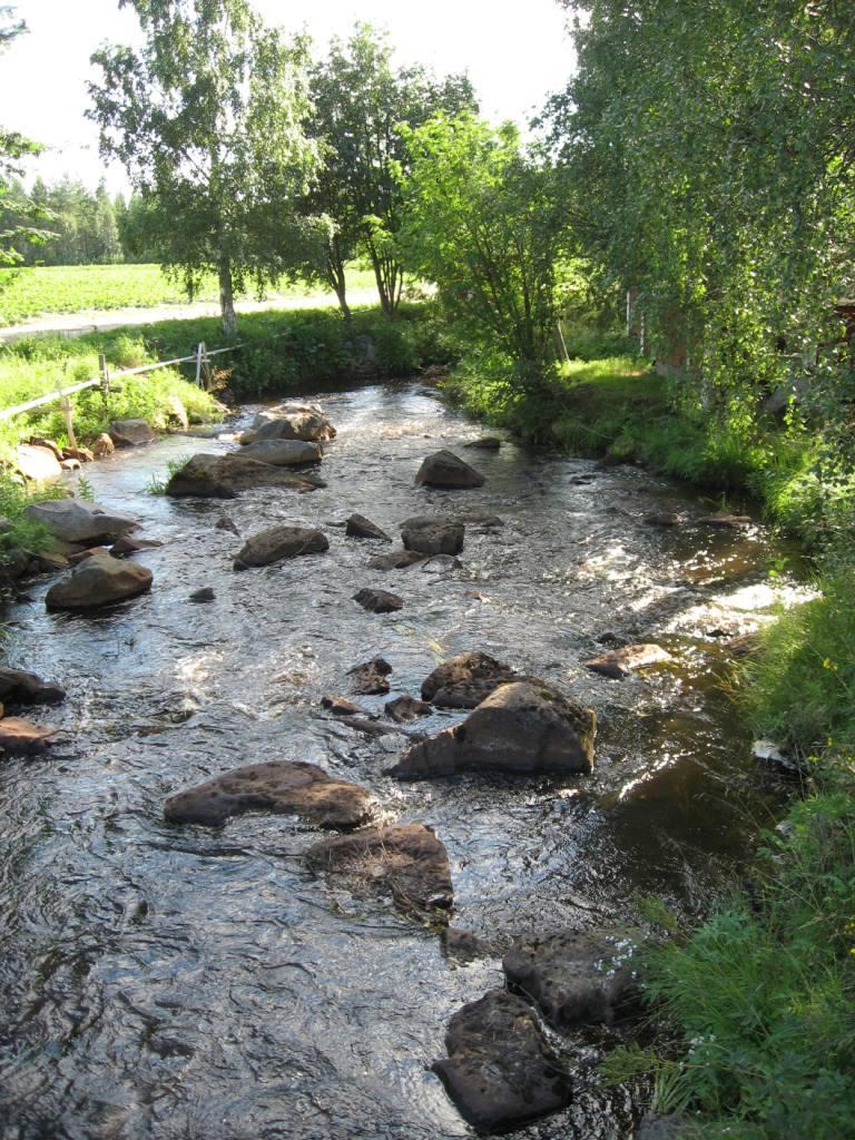 Mitä Jäälinojan hyväksi voidaan tehdä?