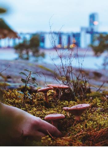 Päästövähennystyö etenee Päästövähennysten toteuttamisesta laaditaan vuoden 2018 helmikuun loppuun mennessä