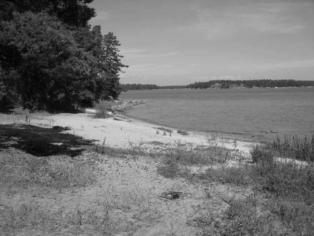 Sotilasuimaranta Rauhallinen, ei muita ihmisiä Aurinko paistaa rannalle koko päivän Hiekkapohja. Matala ranta. Vielä lähes 30 metrin päässä rannasta vesi yltää ainoastaan vyötärölle.