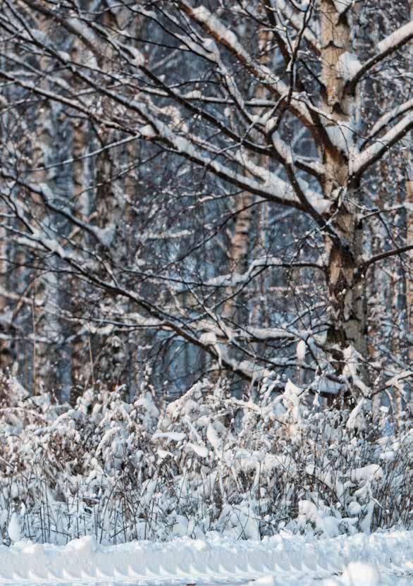 2 VASTUU TOIMENPIDE TAVOITE TEKIJÄT MITTARI Osasto Terveyspiste Terveyspiste Terveyspiste EA Kehitetään varainhankinnallista ensiapukoulutusta. Verensokerin mittaamisen säilyttäminen terveyspisteellä.