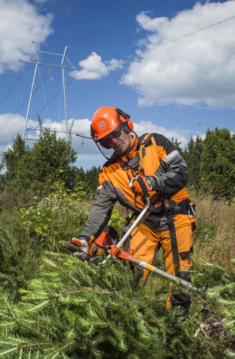 Avainasemassa turvallisuus ja sähkönsiirron häiriöttömyys Voimajohtojen tuntumassa sijaitsevan puuston ja muun kasvillisuuden