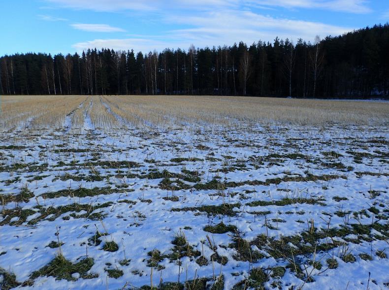 Pronssiesineen katkelma on löytynyt