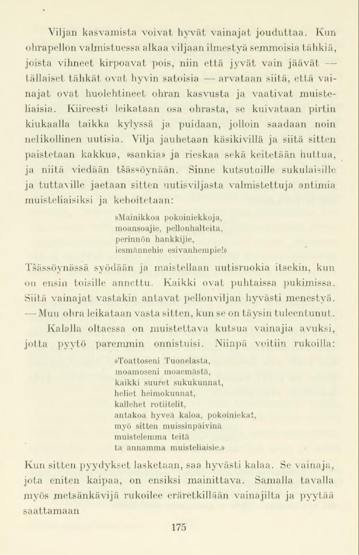 Viljan kasvamista voivat hyvät vainajat jouduttaa.