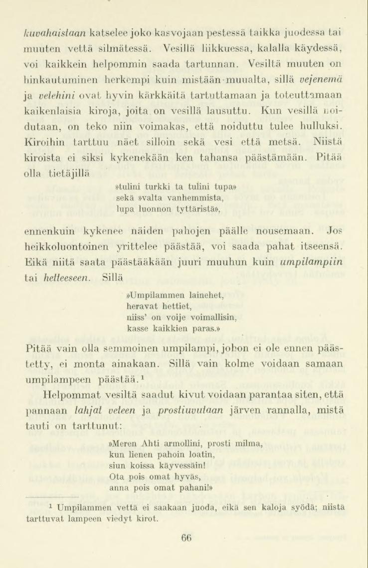 kuvahaislaan katselee jokokasvojaan pestessä taikka juodessa tai muuten vettä silmätessä. Vesillä liikkuessa,kalalla käydessä, voi kaikkein helpommin saada tartunnan.