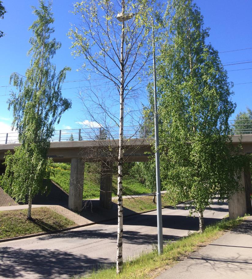 Ratasuunnitelmaselostus 11/34 1.6.9 Turvalaitteet Suunnittelualueen kohdalla on nykyisin käytössä linjasuojastus.